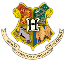 Die vier Gründer von Hogwarts